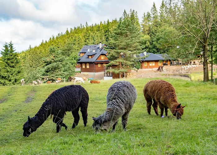 Statek U Rajmunda Zemedelska Farma