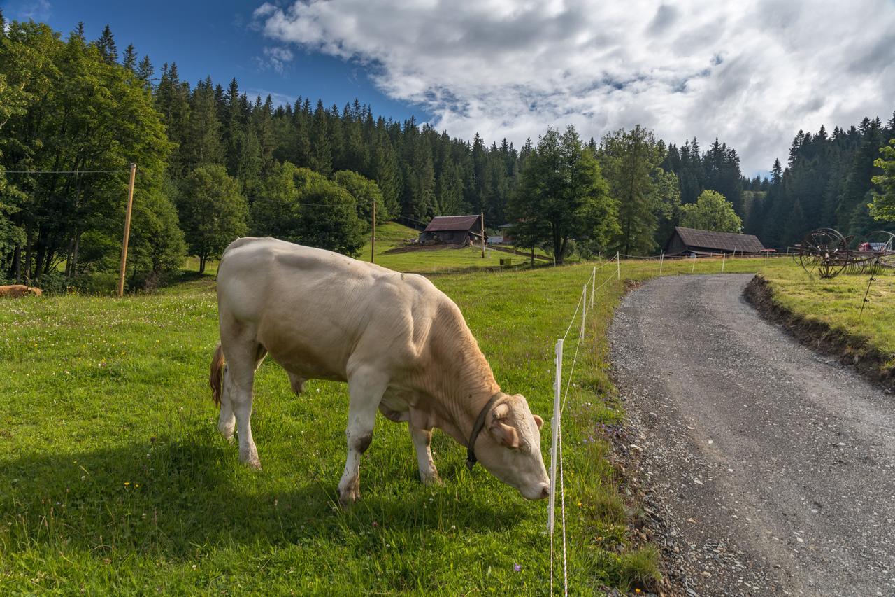 Statek U Rajmunda Zemedelska Farma Velké Karlovice