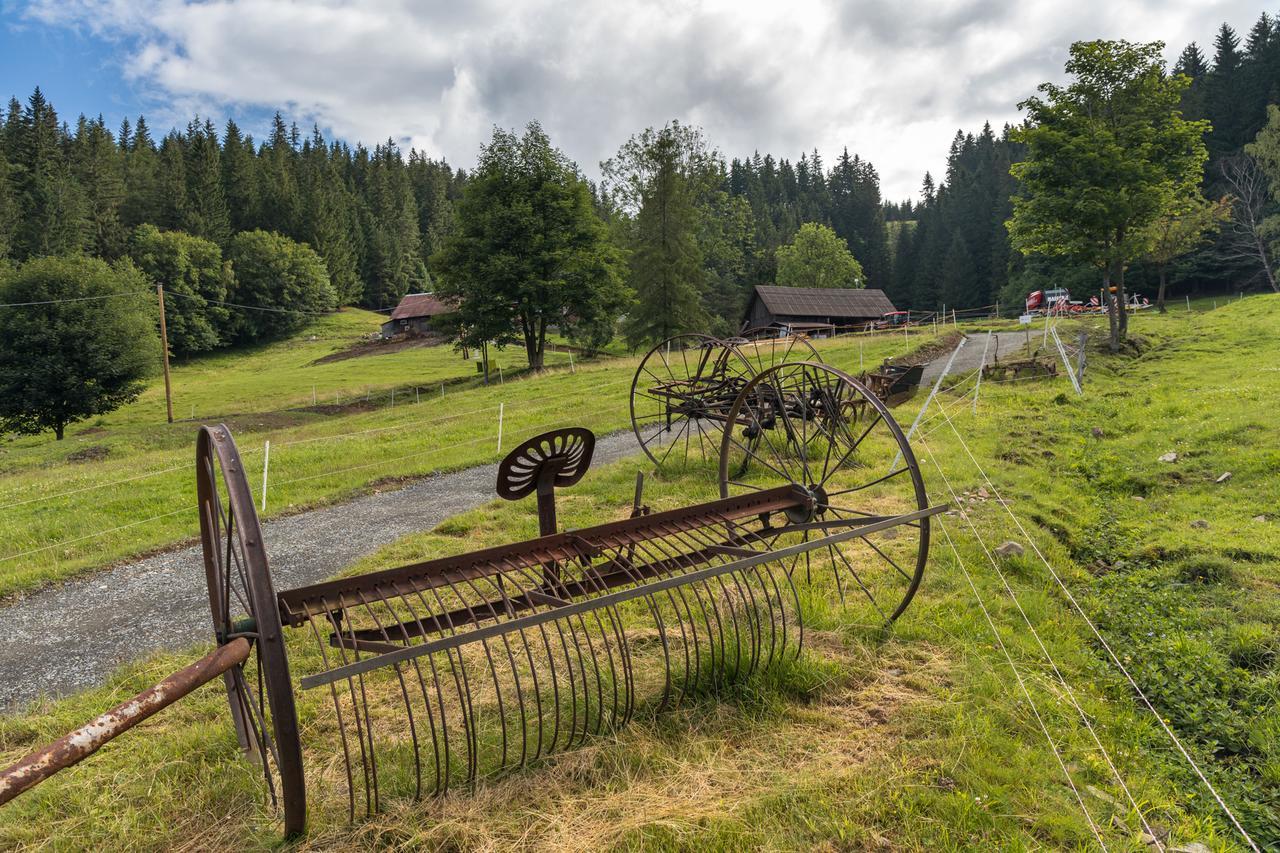 Statek U Rajmunda Zemedelska Farma *
