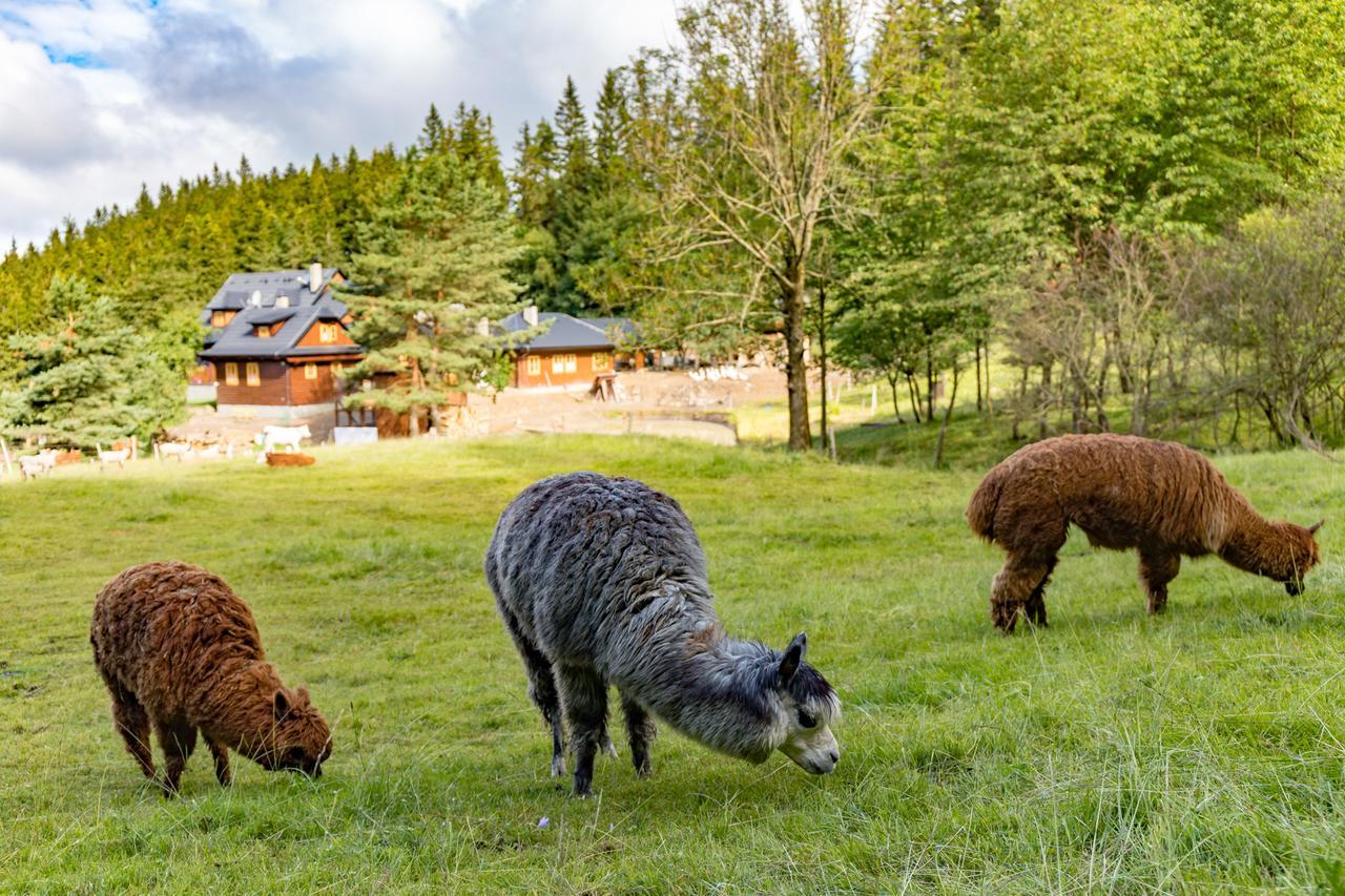 Statek U Rajmunda Zemedelska Farma Velké Karlovice